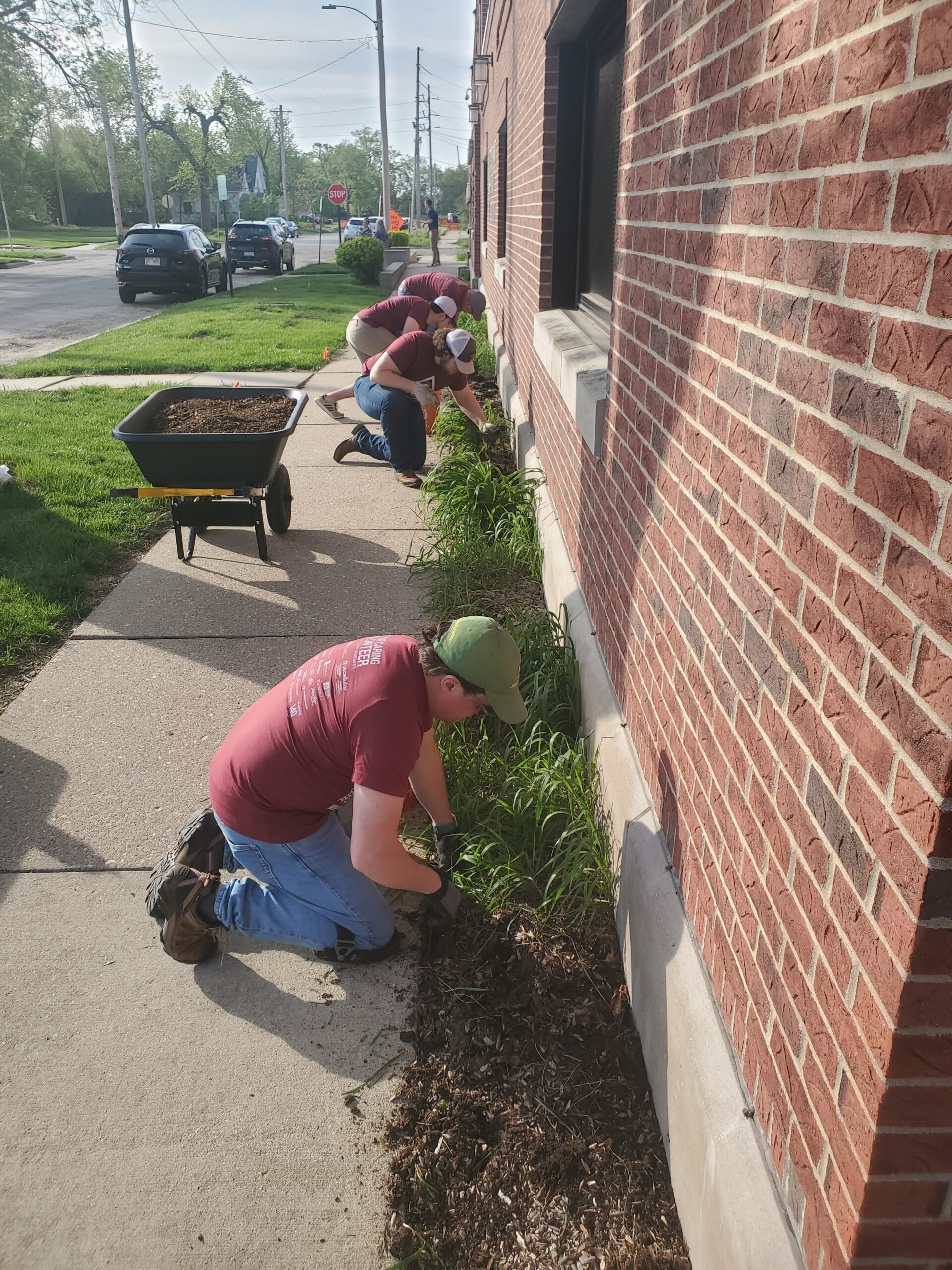 scintilla united way